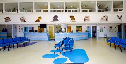coyoacanhospitalveterinario1.jpg