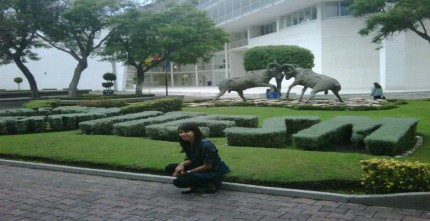 T0.JPG