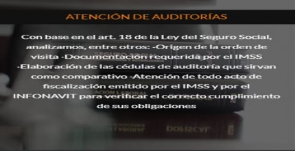 AtenciondeAuditorias.JPG